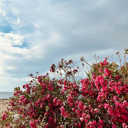Marina'S Seacret Apartment Corinth エクステリア 写真