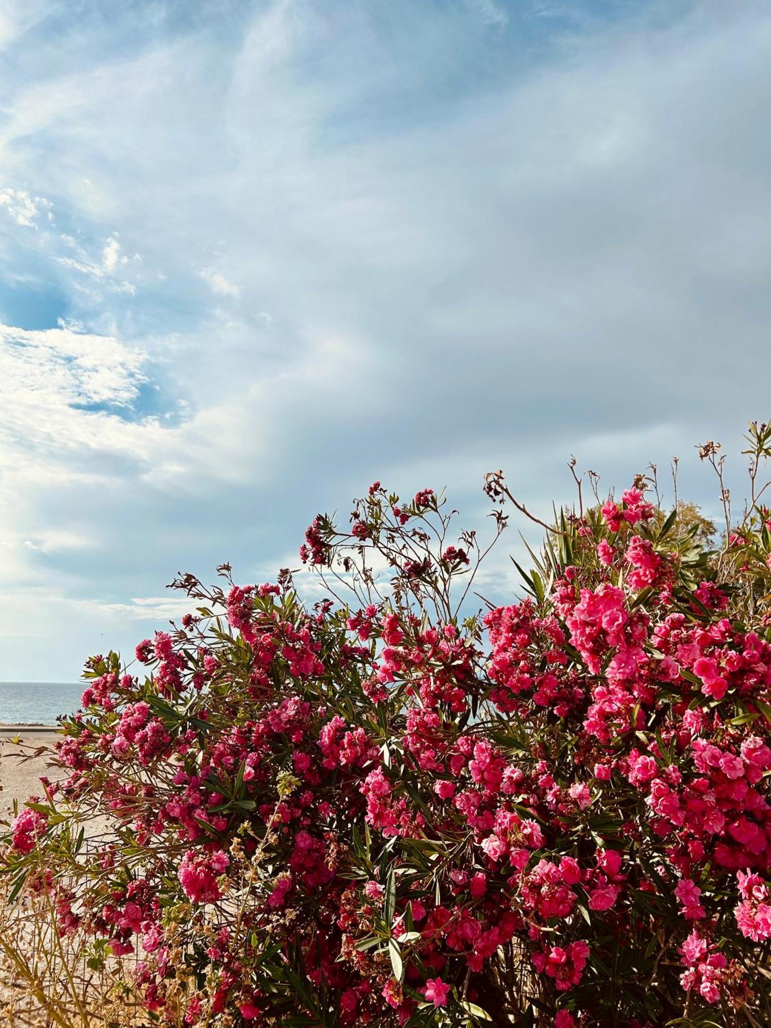 Marina'S Seacret Apartment Corinth エクステリア 写真