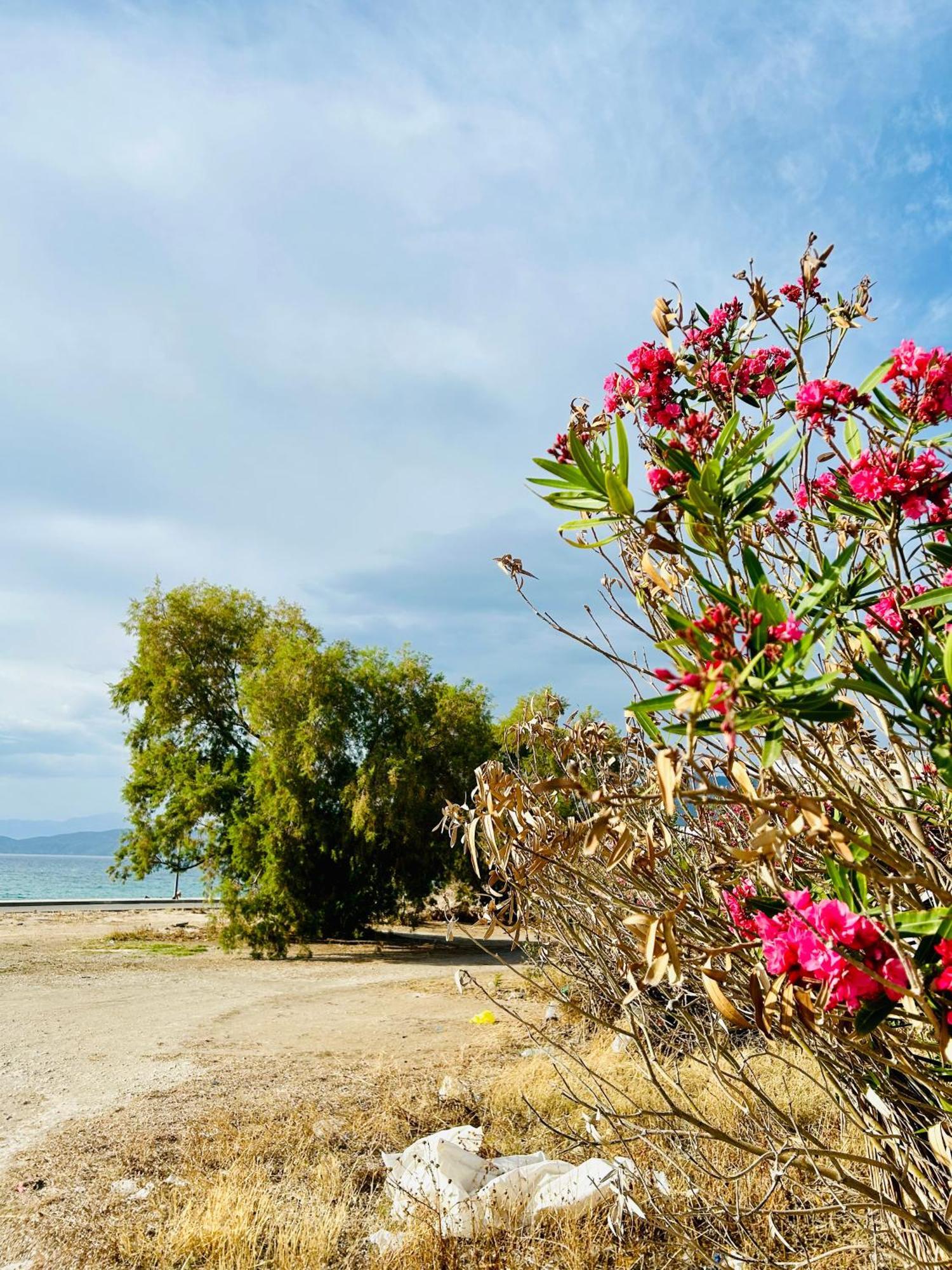 Marina'S Seacret Apartment Corinth エクステリア 写真